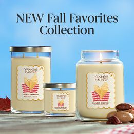 Shop Fall Favorites