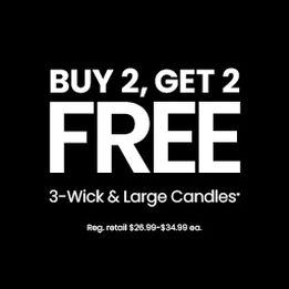 Buy 2 Get 2 Free
