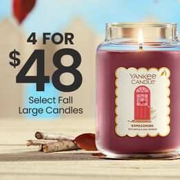 4 for $48 Select Fall Large Candles