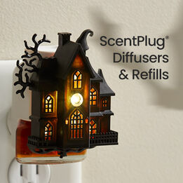 Shop Fall ScentPlug® Diffusers and Refills