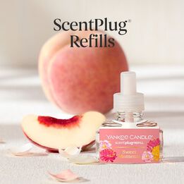 Shop New ScentPlug&reg; Diffusers and Refills