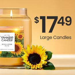 $17.49 Large Candles