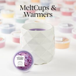 Shop Melt Cups and Warmers