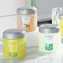Car Air Freshener | Small Spaces Scents | Yankee Candle Car Air Freshener | Small Spaces Scents | Yankee Candle