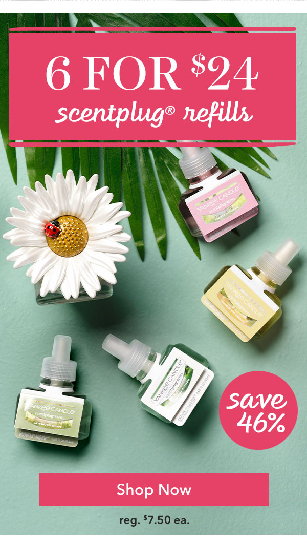 6 for $24 ScentPlug® Refills