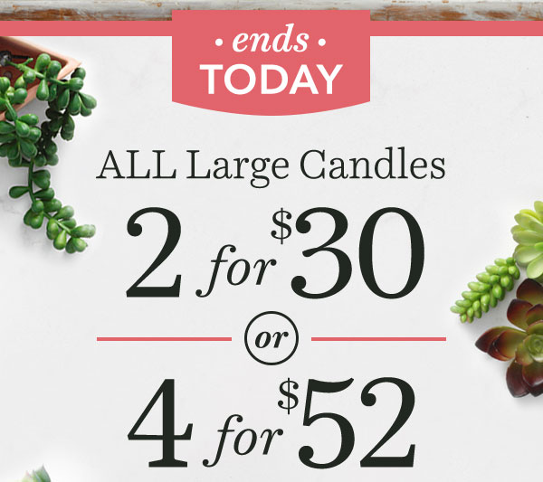 2 for $30 OR 4 for $52 - ALL Large Candles