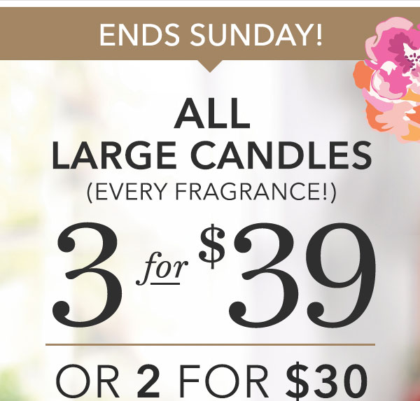 All Large Candles 3 for $39 or 2 for $30