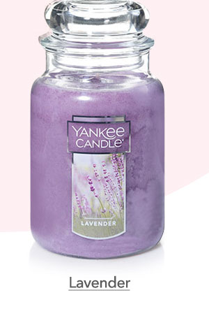 Lavender