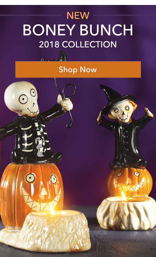 New Boney Bunch 2018 Collection