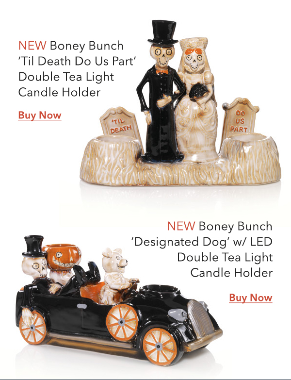 New Boney Bunch 2018 Collection
