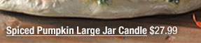 Spiced Pumpkin Large Jar Candle $27.99