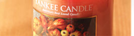 Pilgrim Hat Jar Candle Shade $18.99