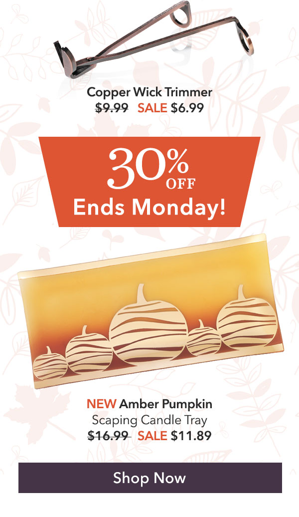 30% Off Select Accessories Ends Monday!