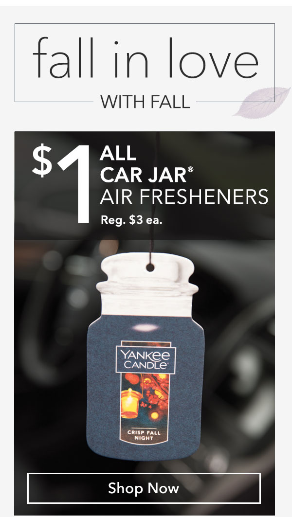 $1 All Car Jar Air Fresheners