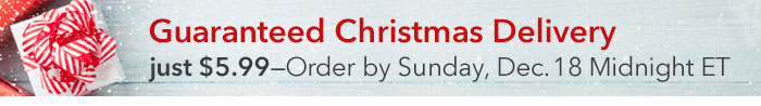Guaranteed Christmas Delivery